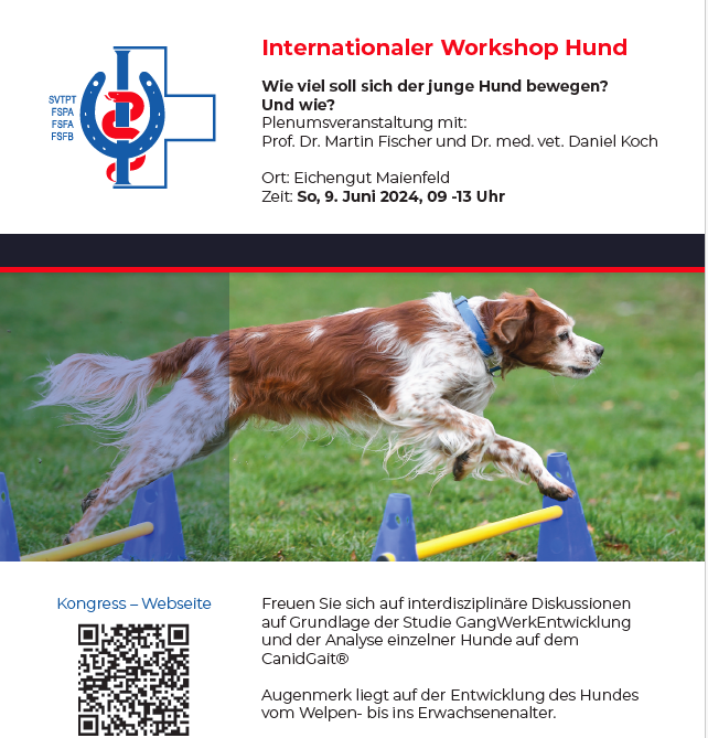 Internationaler Workshop Hund