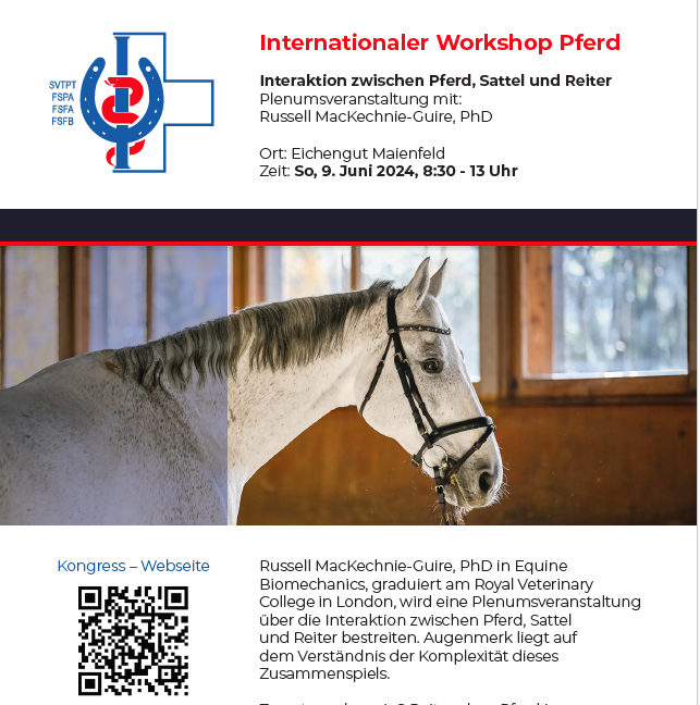 Internationaler Workshop Pferd
