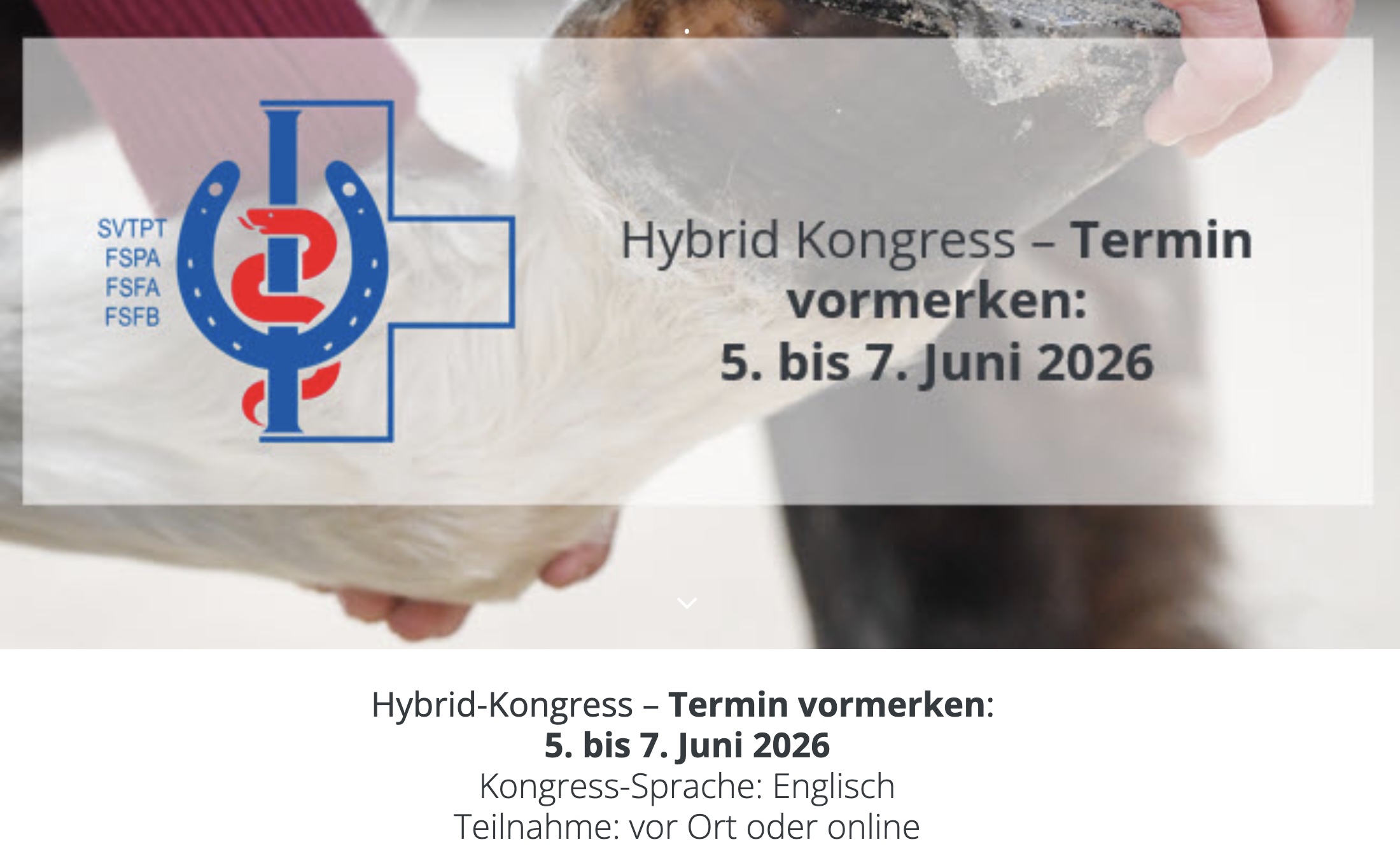 hybrider Kongress Swiss Association of Animal Physiotherapy